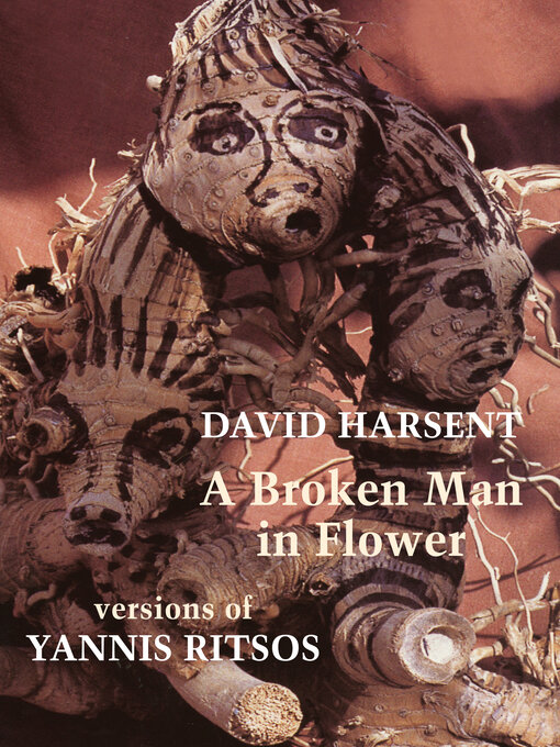 Cover image for A Broken Man in Flower